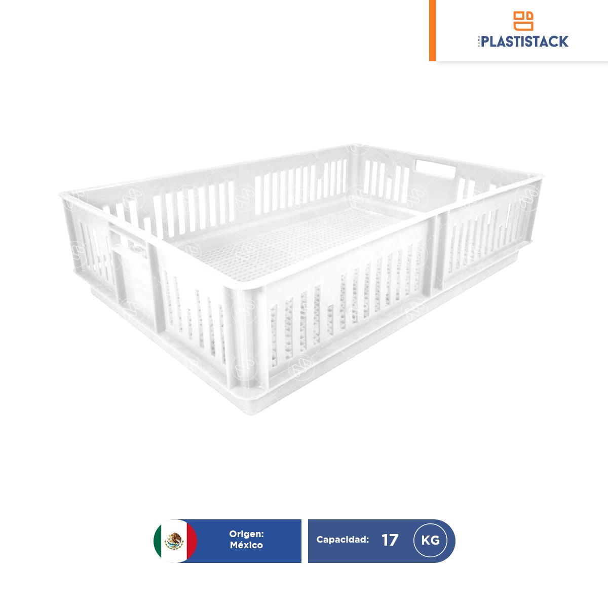 caja para pollitos sin division calada blanca 001